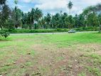 Land for Sale Nattandiya