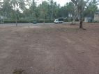 Land for Sale Nattandiya Thabbowa