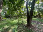 Land for Sale - Nawala (EM555)
