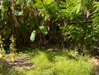 Land for Sale Nawala