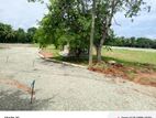 Land for sale nawala