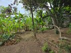 Land for Sale Nawala