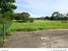 Land For Sale Nawala