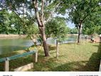 Land for sale nawala