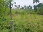 Land for Sale Nawalapitiya