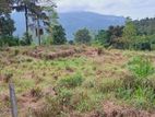 Land for Sale Nawalapitiya