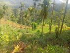 Land for Sale Nawalapitiya