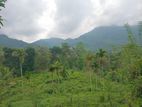 Land for Sale Nawalapitiya