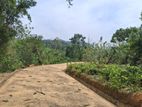land for sale nawalapitiya