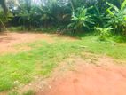 Land for Sale Near 174 Bus Route