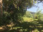 Land for sale near Amaya Hills -Kandy