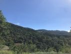 Land for sale near Amaya Hills -Kandy