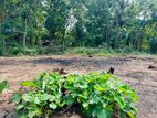 Land for sale near Anuradhapura city (SSPL-207)