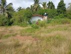 Land For Sale - Near Avissawella