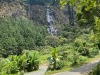 Land for Sale Near Bambarakanda Water Fall Belihul Oya