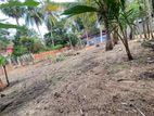 Land for Sale - Near Batticaloa Town, Periyauppodai