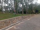 Land for sale near bellapitiya school