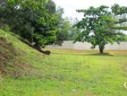 Land for Sale Near Bolgoda Lake D