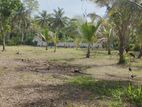 Land for Sale Near Dambulla-Kurunegala Road