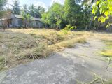 Land for Sale Near Dambulla Town