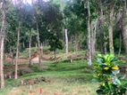 LAND FOR SALE NEAR DIGANA KANDY ROAD