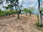 Land For Sale Near Dikwella Hiriketiya