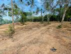 🌴 Land for Sale near Dikwella / Hiriketiya 🌊🐬