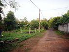 Land for Sale Near Diyagama Town & Universities