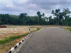 Land for Sale - Near Dodangoda