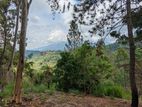 Land for Sale Near Ella Rock