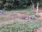 Land for Sale Near Galanigama