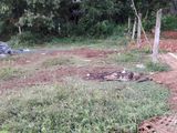 Land for Sale Near Galanigama