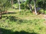 Land for Sale Near galle road