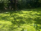 Land for Sale Near Galle Road