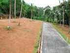 Land For Sale Near Gampaha Town (15 Minutes)