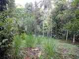 Land for Sale Near Gelioya