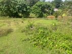 Land for Sale Near Gonapala Town