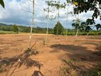 Land for Sale Near Highway Entrance kurudugaha hetekma