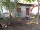 Land for sale near Hiriketiya tourist beach (SSPL-450)