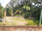 Land for Sale Near in Karapitiya