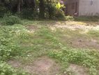 Land for Sale Near Kadawatha