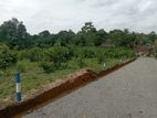 Land for Sale Near Kaluthara Town