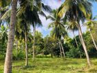 Land for Sale Near Kaluwila Wewa – , Anuradhapura