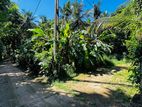Land for Sale Near Kekanadura Town