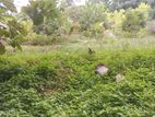Land for Sale Near Kurunegala City