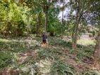 Land for Sale – Near Kurunegala