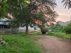 Land for Sale Near Kurunegala Town