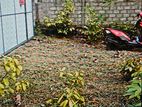 Land for Sale Near Madampa River Ambalangoda