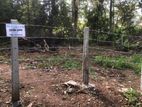 Land for Sale Near Maddawatta