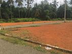 Land for Sale Near Main Road - Thulhiriya